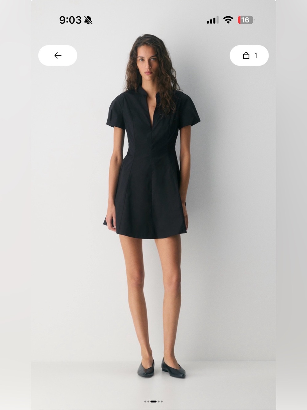 Babaton Intro Poplin Dress